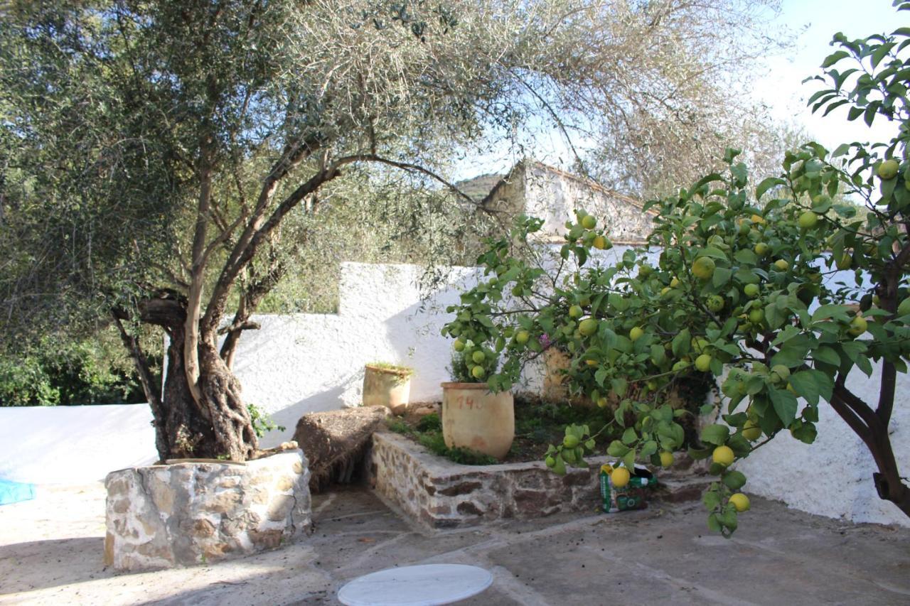 Cortijo El Puente Guest House บีญวยลา ภายนอก รูปภาพ