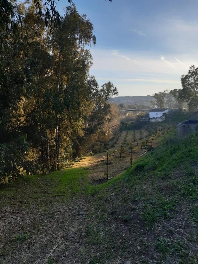 Cortijo El Puente Guest House บีญวยลา ภายนอก รูปภาพ